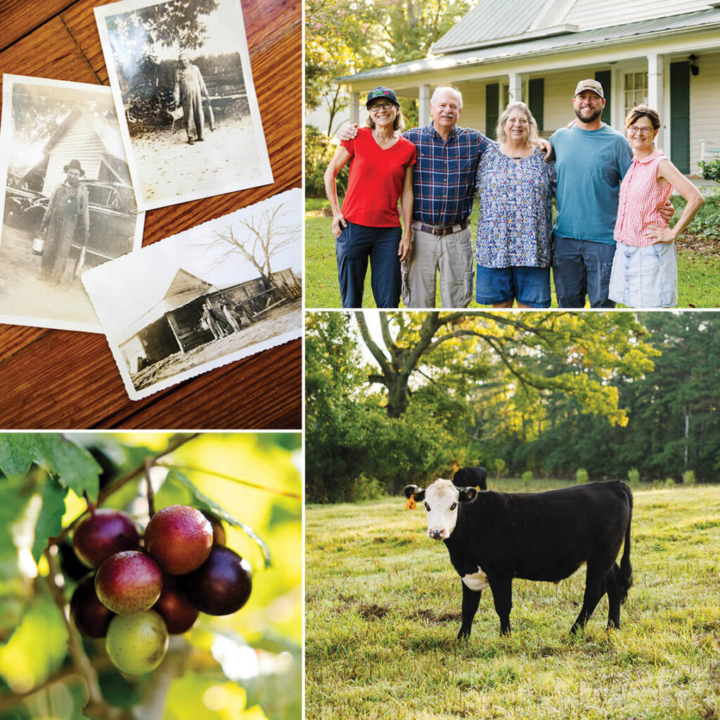 North Carolina’s Bicentennial Farms | Our State
