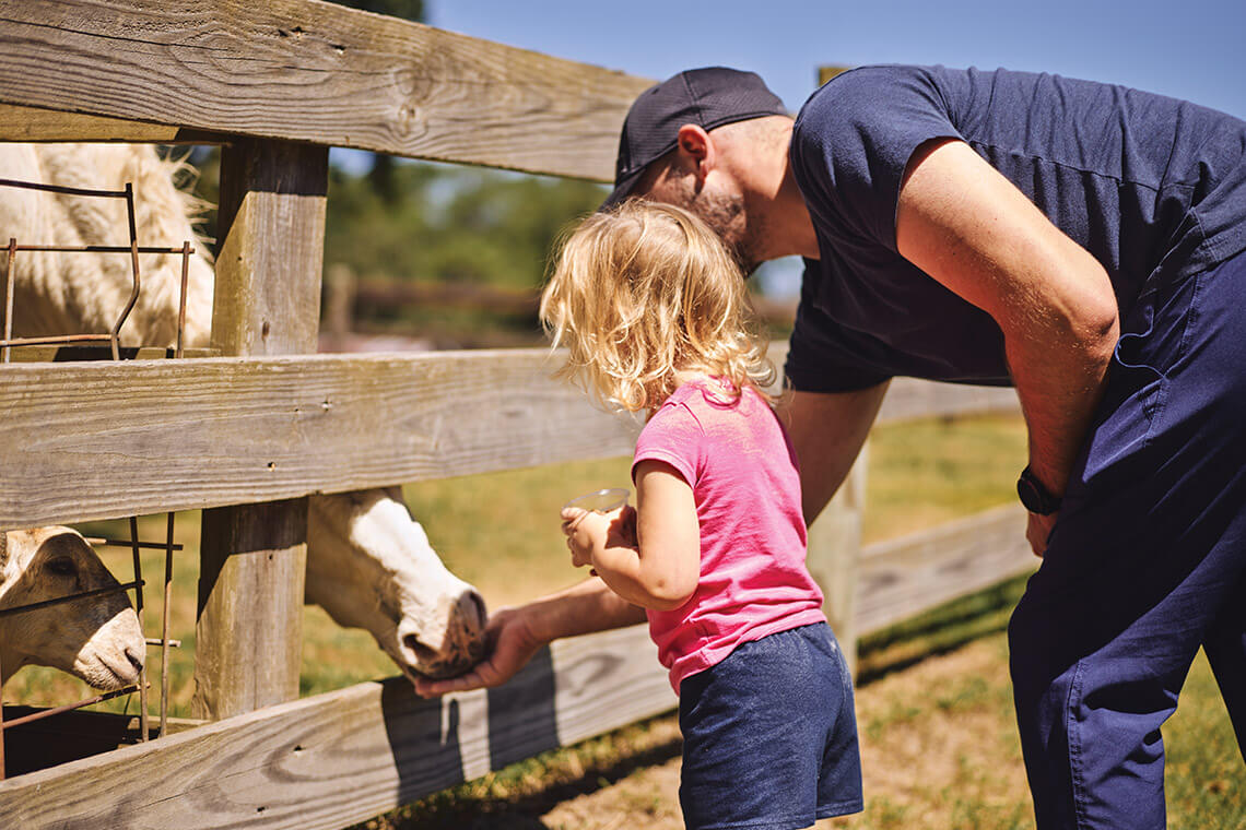 Children feed animals at Gillis Hill Farm one of North Carolina's bicentennial farms