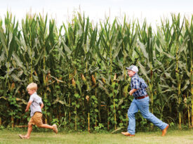 Cousins Samuel, 5, and Eli, 10, run through the corn field at Knox Farm, the oldest bicentennial farm in North Carolina