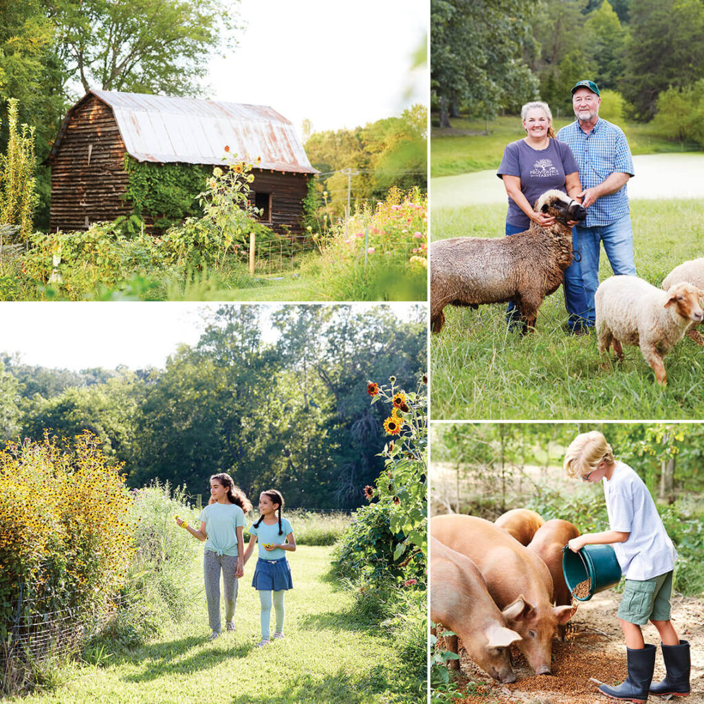 North Carolina’s Bicentennial Farms | Our State