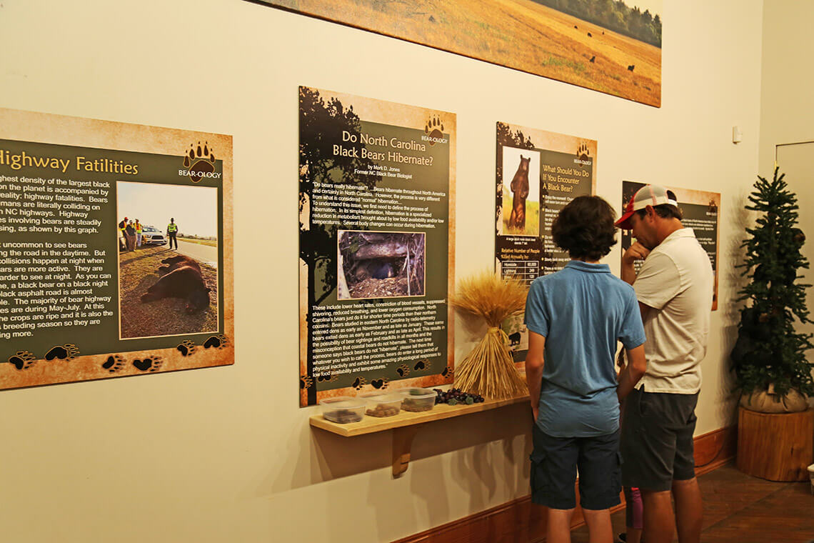 Exhibits in the Bear-Ology museum