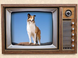 Lassie on a retro TV