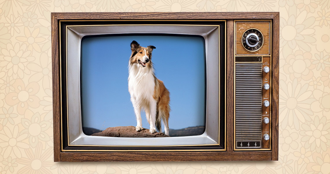 Lassie on a retro TV