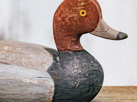 Redhead duck decoy carved by Corey Lawrence, an emblem of Down East North Carolina