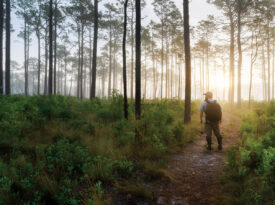 photographer Neil Jernigan pauses for a self-portrait in the soaring pinewoods that lie along Patsy Pond Trail in Croatan National