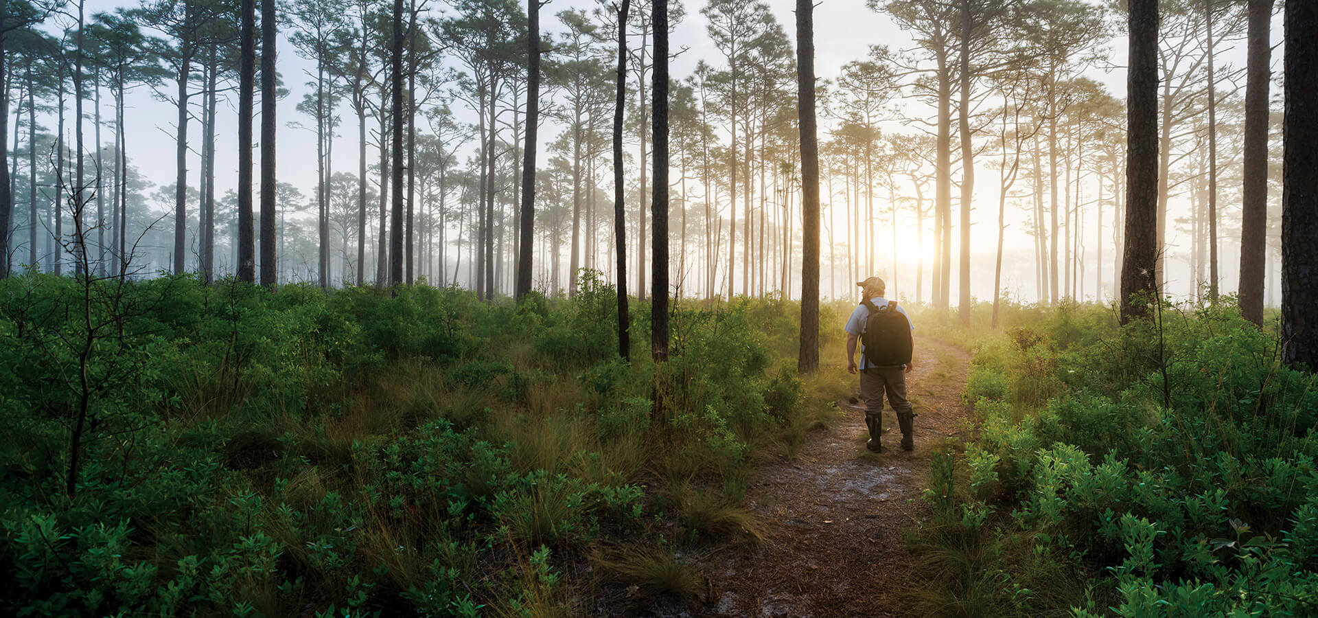 photographer Neil Jernigan pauses for a self-portrait in the soaring pinewoods that lie along Patsy Pond Trail in Croatan National