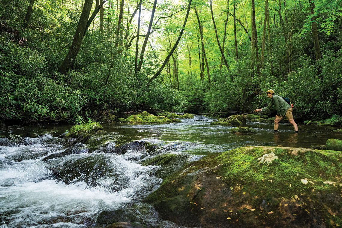 Fly-fishing in the Mills River in Pisgah National Forest