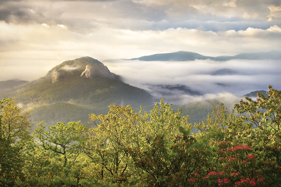 The mountain ridgeline at Pisgah National Forest