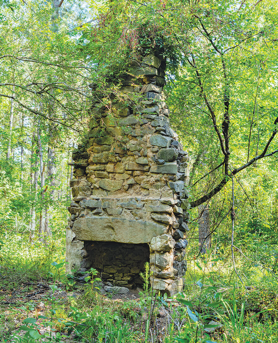 The lone chimney in the woods