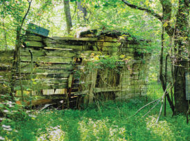 Abandoned farm building in the land referred to as The Harricanes