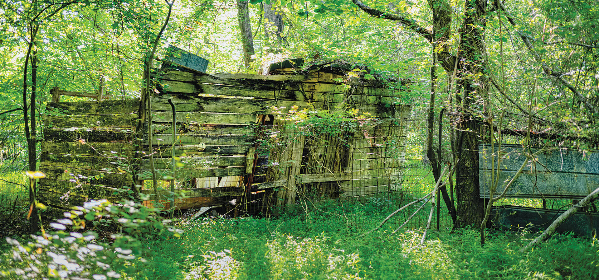 Abandoned farm building in the land referred to as The Harricanes