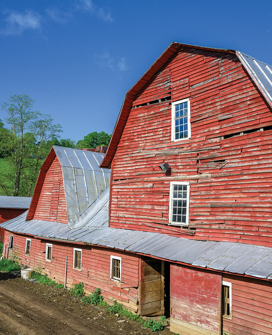 The historic barn at the Shipley farm.
