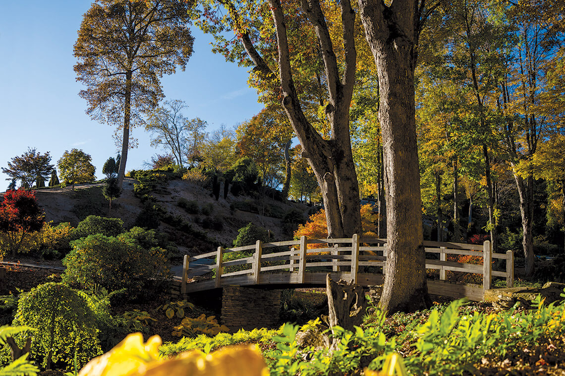 footpaths over the undulating grounds at Arborcrest.