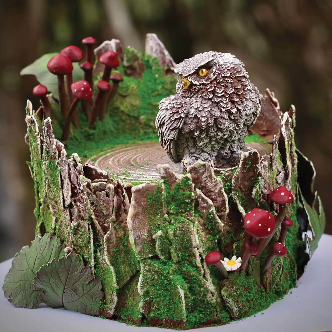 Chocolate owl on a German Chocolate birthday cake from Edelweiss Pastry Boutique