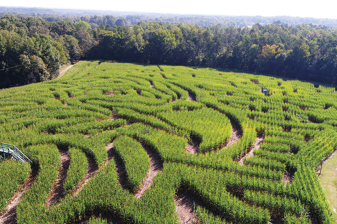 The Kersey Valley Corn Maze
