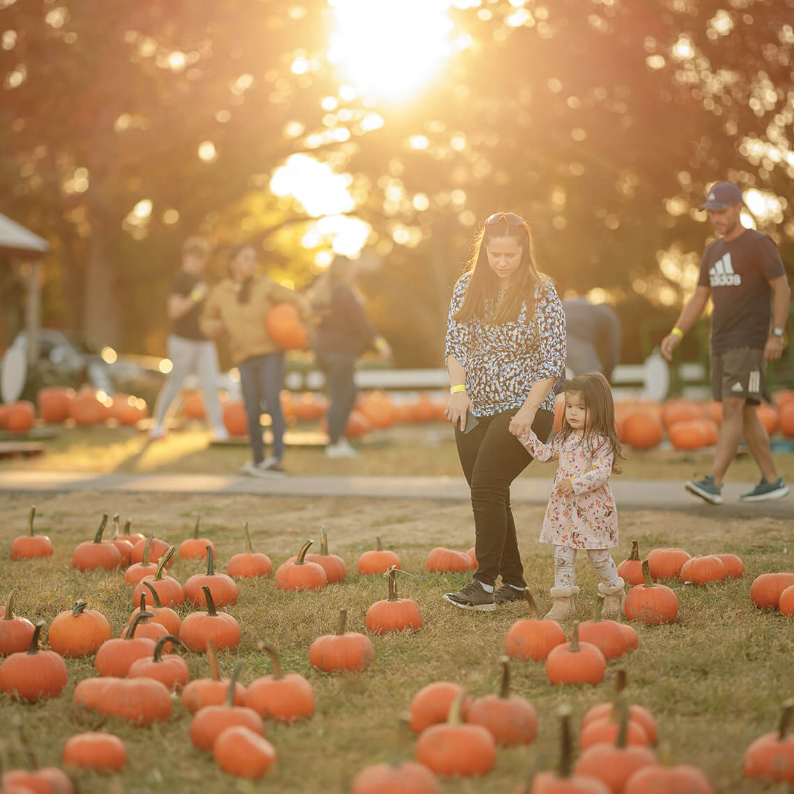 Woman and child wander through the pumpkin patch at Kersey Valley