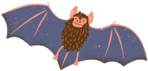 Illustration of a bat