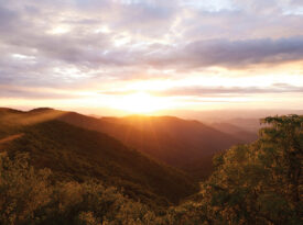 View of Blue Ridge Craggy Gardens during sunrise