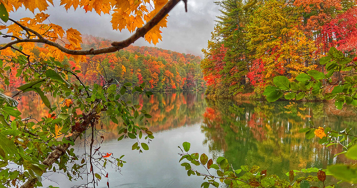 Changing leaves surrounding a lake in White County, Georgia