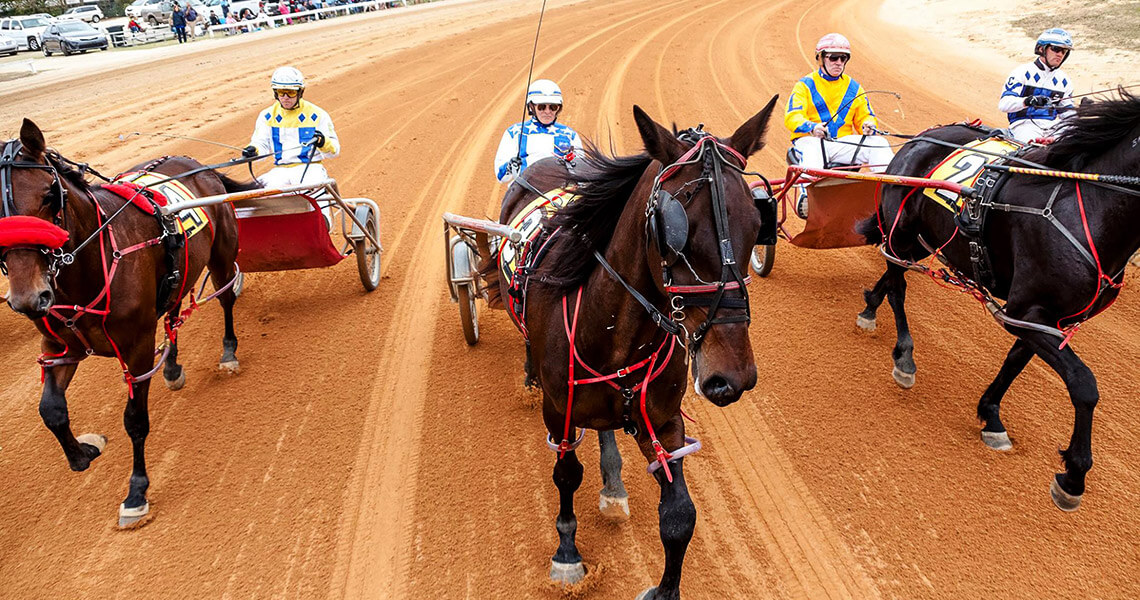 Horses pull jockeys at the Pinehurst Harness Track