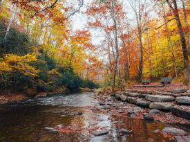 Deep Creek in Swain County.