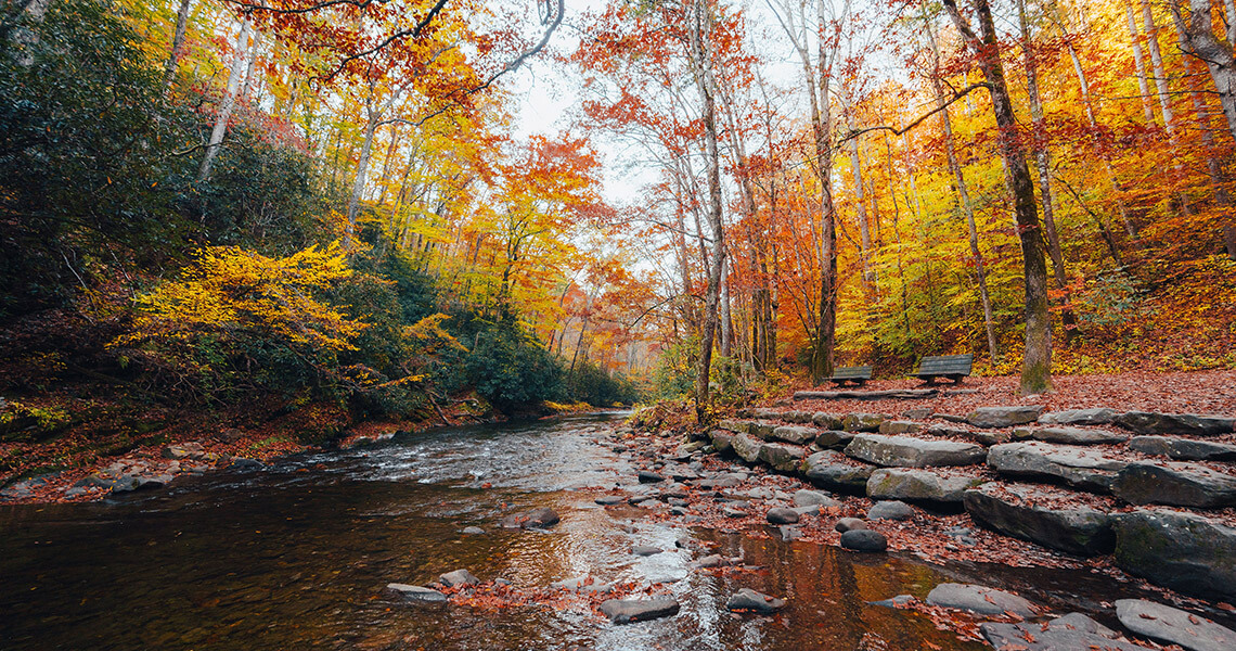 Deep Creek in Swain County.