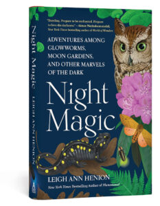 the book Night Magic by Leigh Ann Henion