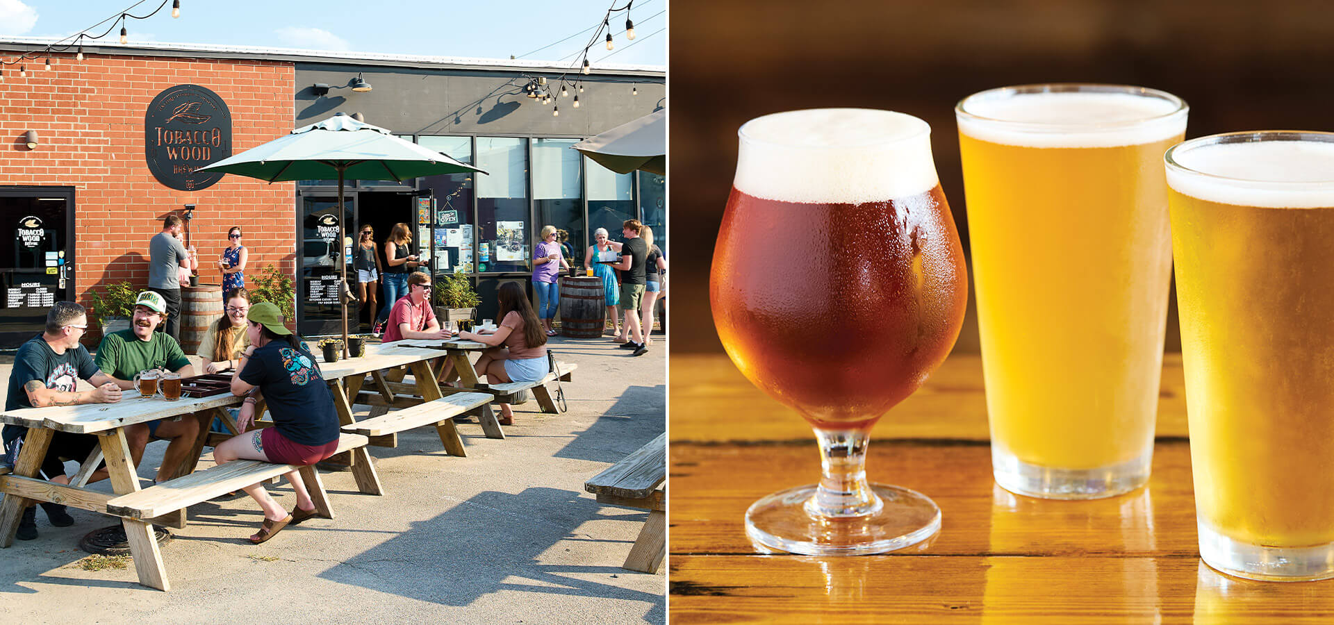 Exterior and craft beers at Tobacco Wood Brewing Company