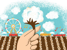 Illustration of hand holding a cotton piece