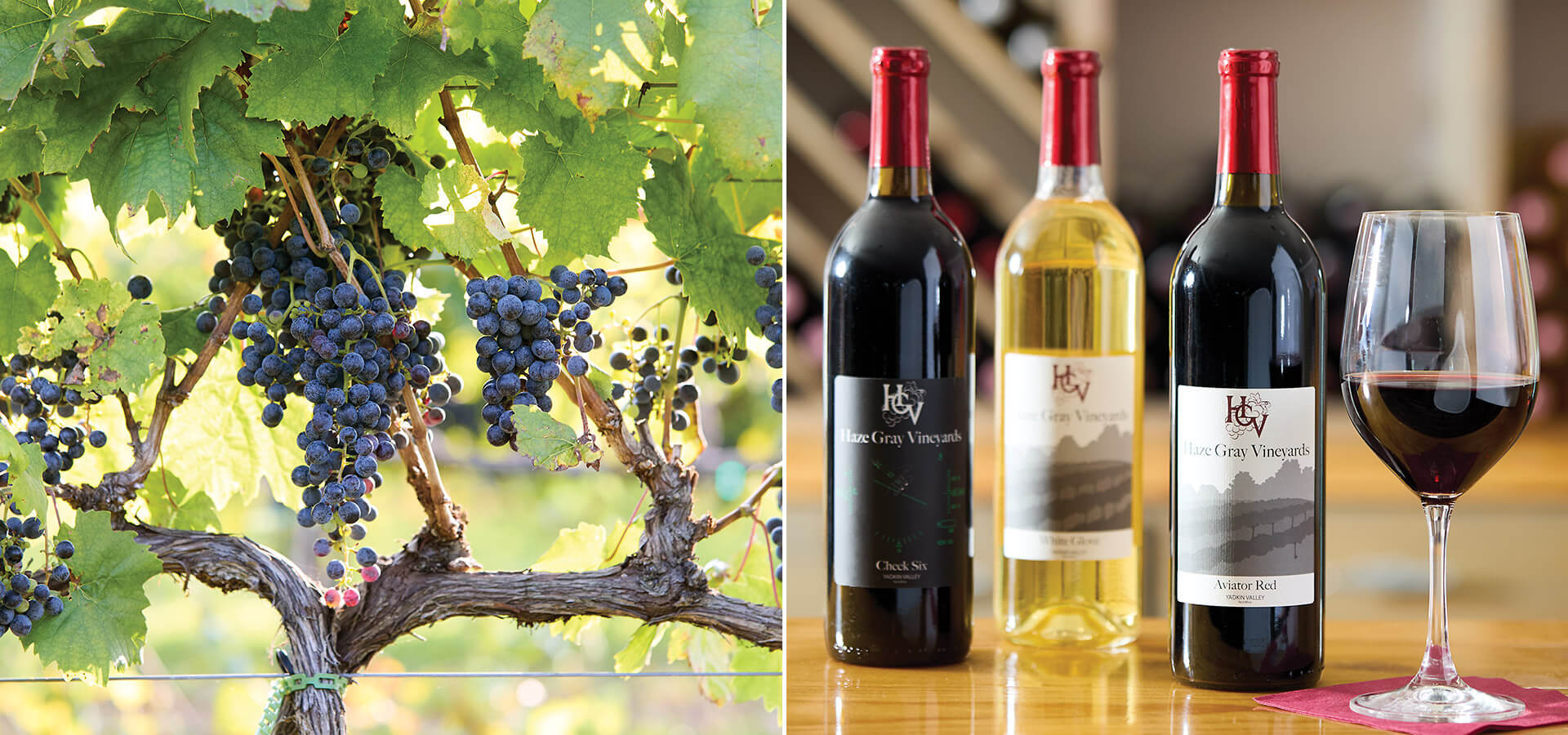 Grape vine and Haze Gray's Vineyards wine by the bottle