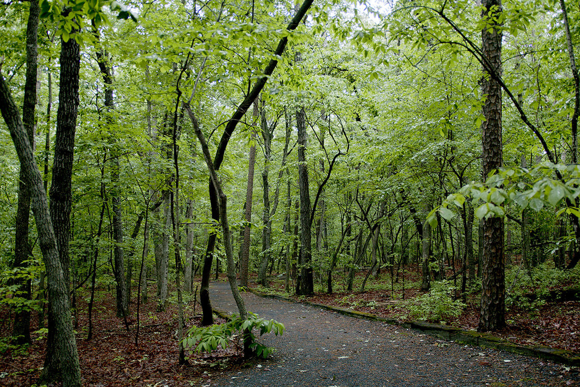 The trails at Purgatory Mountain in Asheboro