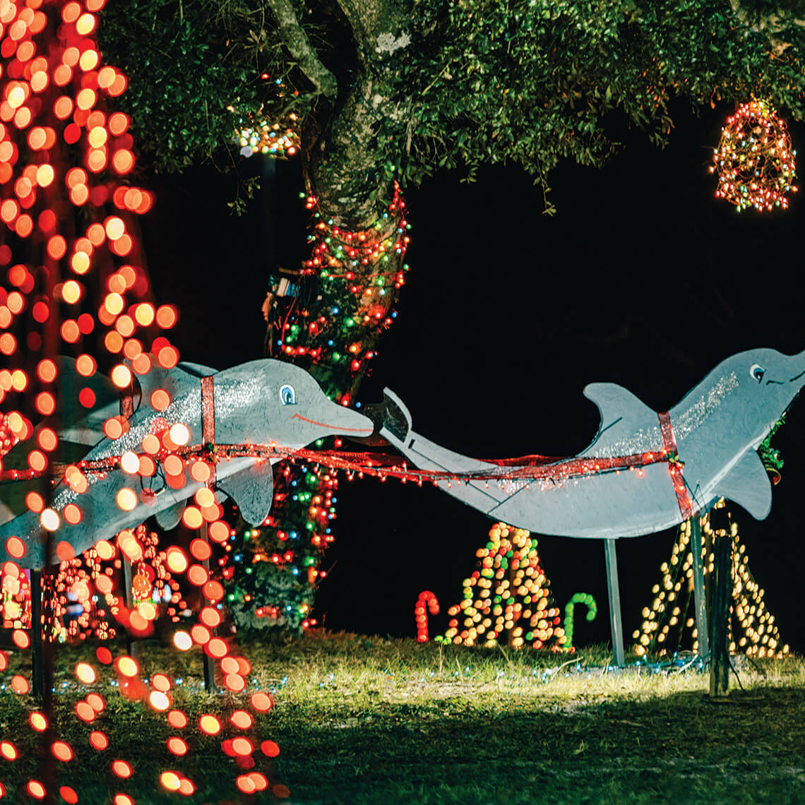 Illuminated dolphins in Harkers Island