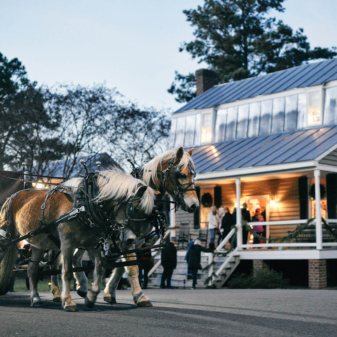 Horse-drawn carriages in Edenton, NC