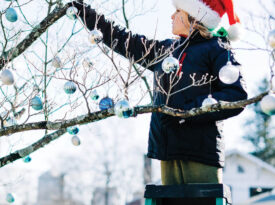 Nico hangs ornaments on the family dogwood tree