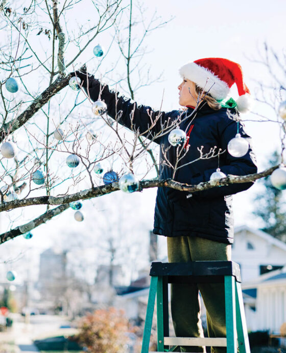 Nico hangs ornaments on the family dogwood tree