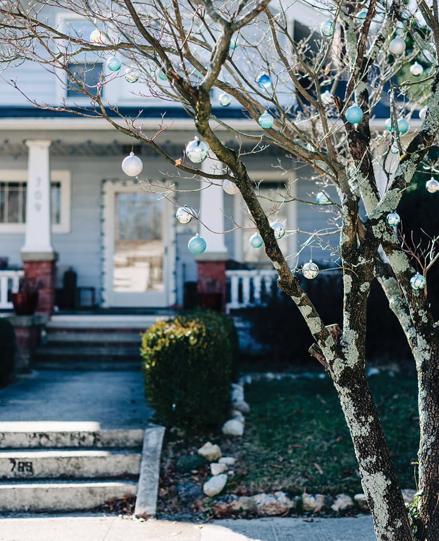 Ornaments hang on the author's dogwood tree