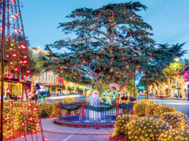 Downtown Forest City decorated for the holidays