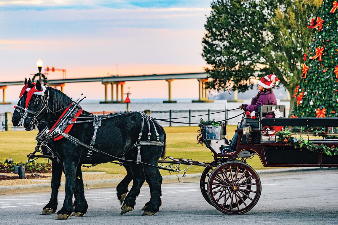 Horse-drawn carriage in Downtown New Bern