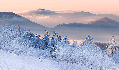 pinehurst area activities