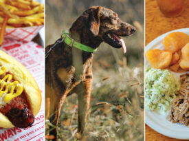 Hot dog, hunting dog, and plate of barbecue