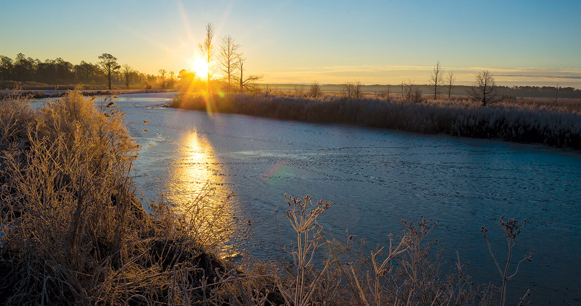 Frozen lake Mattamuskeet