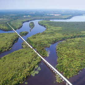 NC Highway 45 across the Roanoke River in Plymouth, NC
