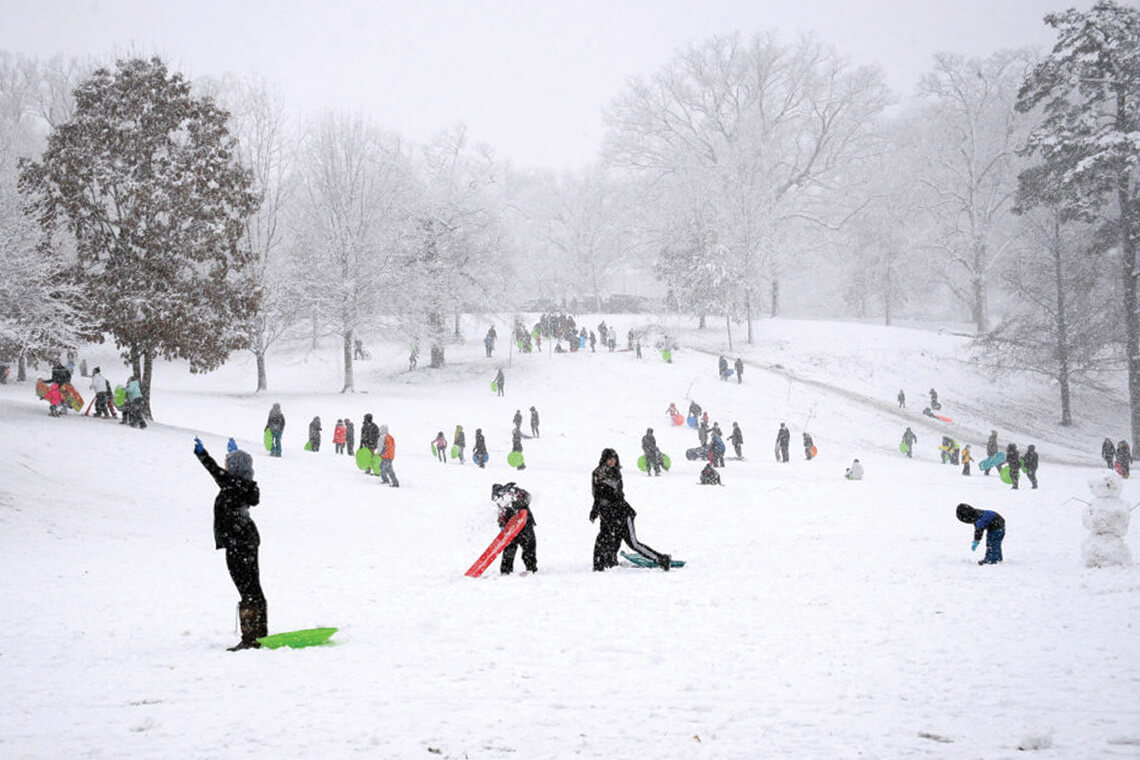 People sledding at Dorothea Dix Park
