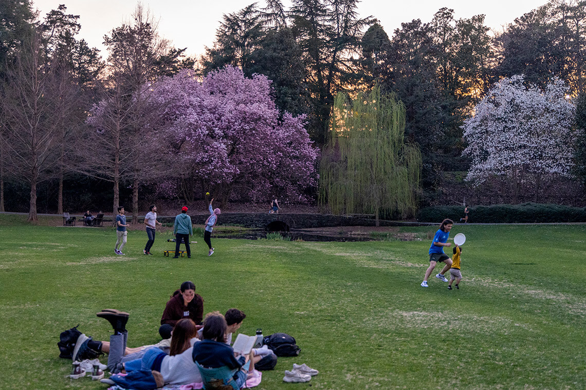 Students play in greenspaces on Duke's Campus