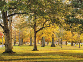 The Town Common in Tarboro, NC
