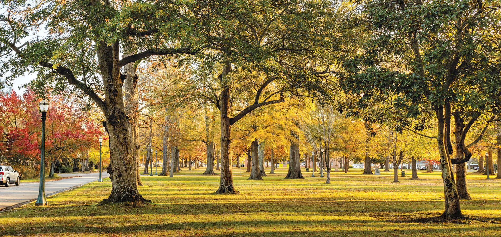 The Town Common in Tarboro, NC