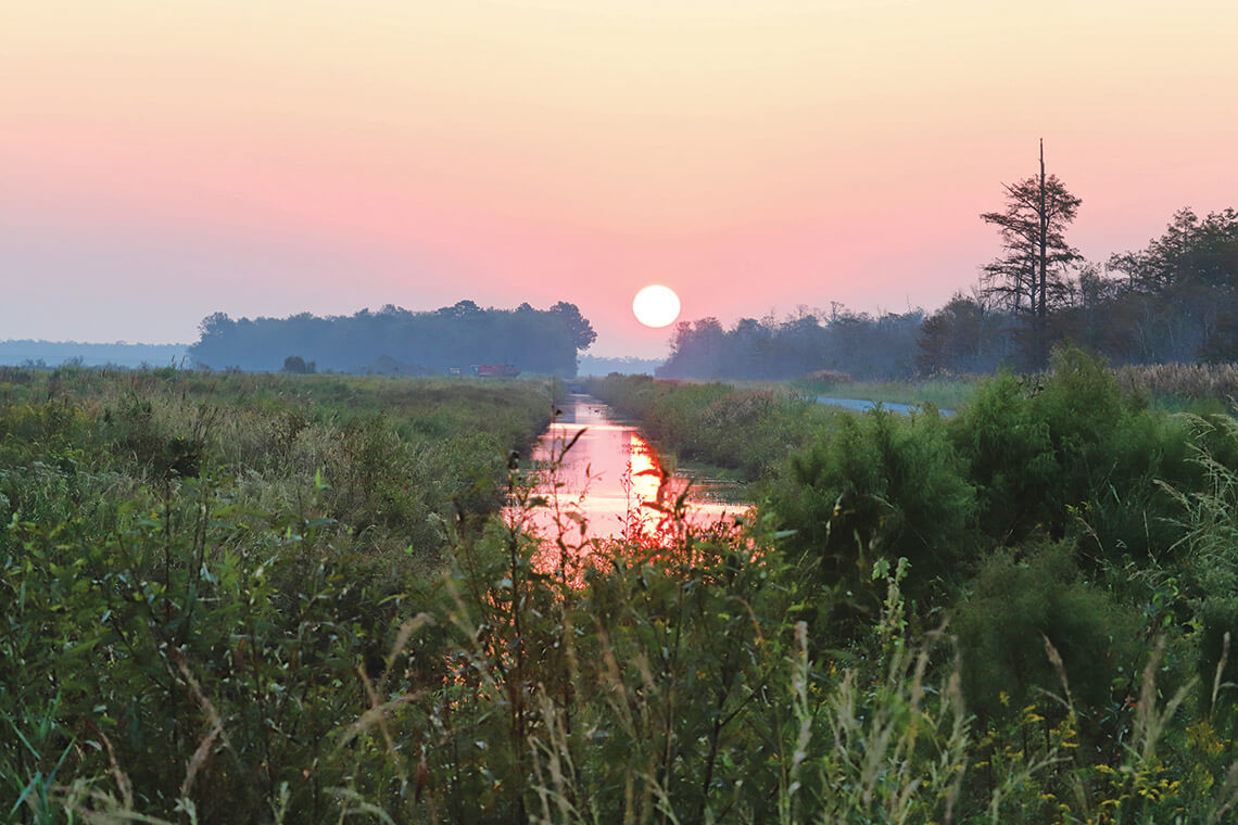 Sun rising in Alligator River National Wildlife Refuge, home to North Carolina's wild red wolves.