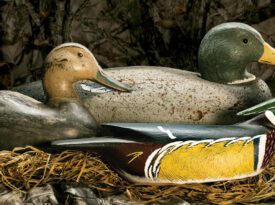 The writer's three treasured duck decoys
