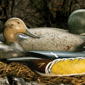 The writer's three treasured duck decoys