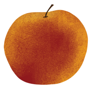 Illustration of apple